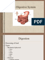 Реферат: Bacillus Anthracis Essay Research Paper Bacillus AnthracisRobert